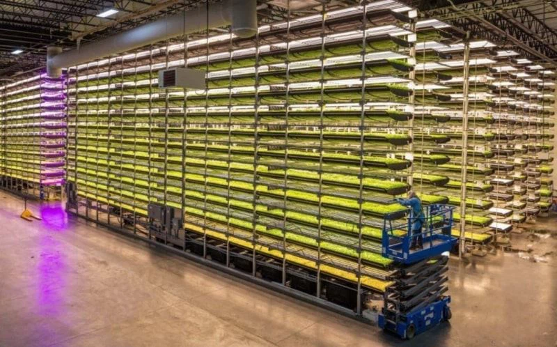 indoor-growing-racks-with-hydro-trays