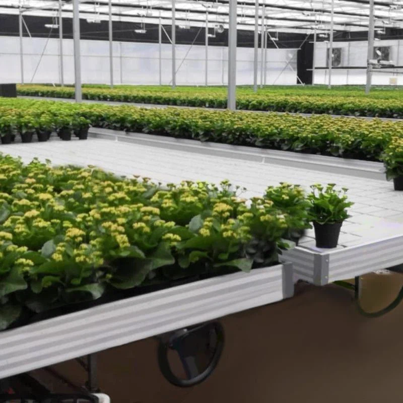 indoor-vertical-farming