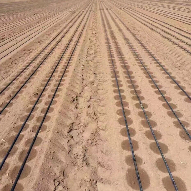 farm-drip-irrigation-line