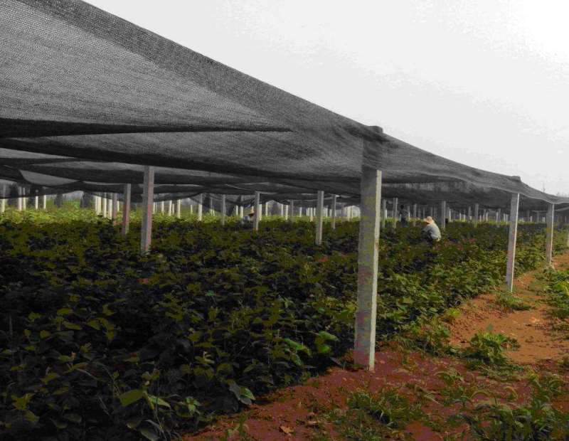 40 percent shading for greenhouse Black Greenhouse Shade Cloth