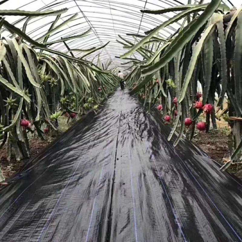 black-plastic-weed-barrier