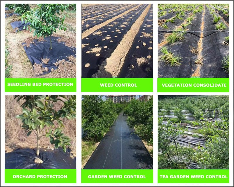 garden-sheet-to-stop-weeds