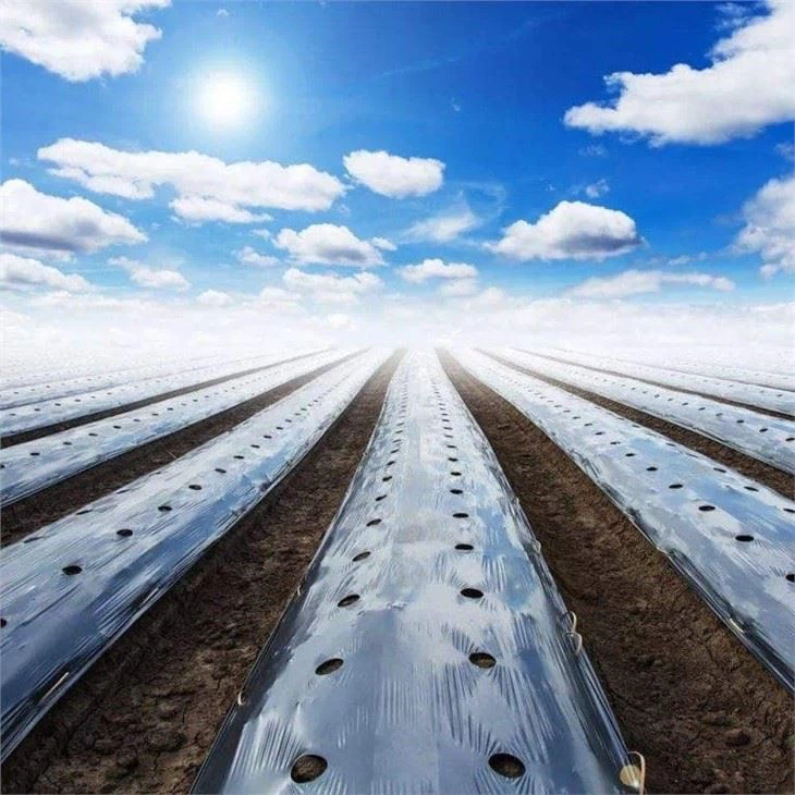 Agricultural Mulch Film