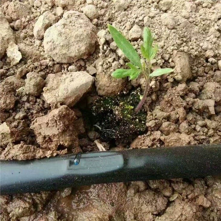 drip-irrigation-tape