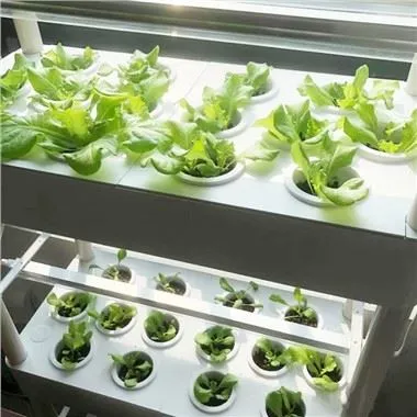 4-Kit de jardin hydroponique à plusieurs niveaux avec lumières LED