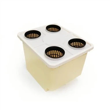 Système hydroponique à seau hollandais