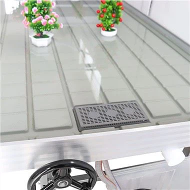 Bancs roulants de serre pour la culture