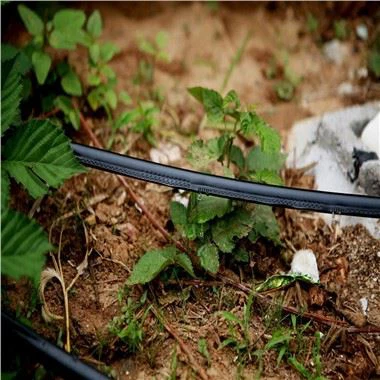 Tuyau d'irrigation goutte à goutte labyrinthe