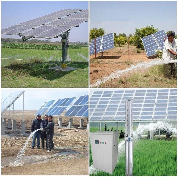 Solar Irrigation System