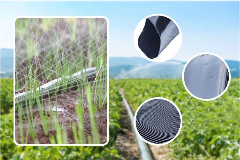 garden hose reel garden hose reel