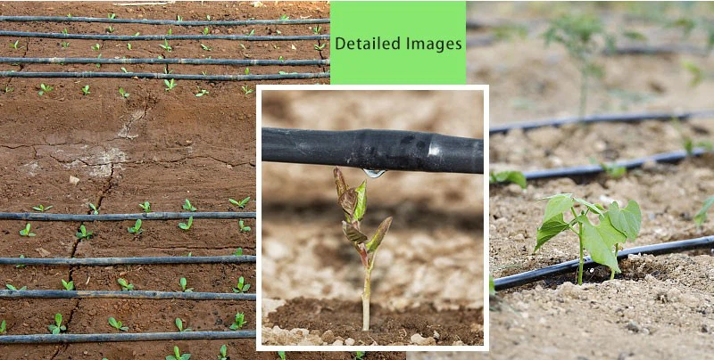 H0b0ed845818348278bf81bcd00a368a9B H0b0ed845818348278bf81bcd00a368a9B