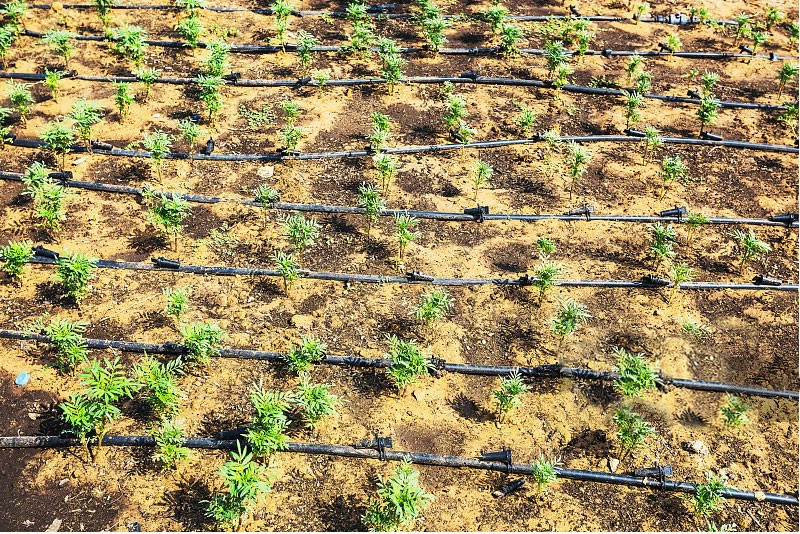 H171003ed2d0849d697bf744dc5c2df2ei H171003ed2d0849d697bf744dc5c2df2ei