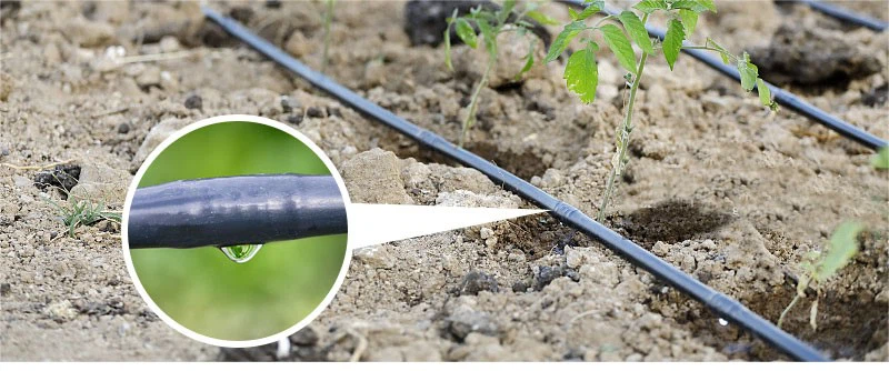 H83e7a46077cb4b55845e98ead56cac59A H83e7a46077cb4b55845e98ead56cac59A