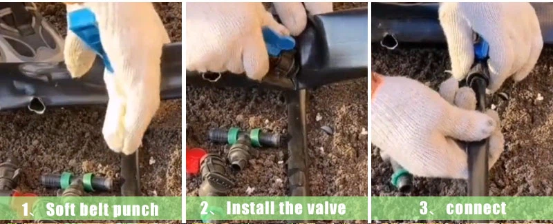 H0101f965c5ce42a98817f5e9eed3c66ba H0101f965c5ce42a98817f5e9eed3c66ba