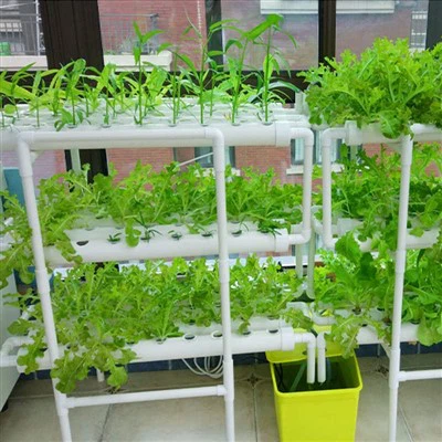 Kit de culture hydroponique pour 108 sites de plantation Système de culture d'eau pour plantes de jardin
