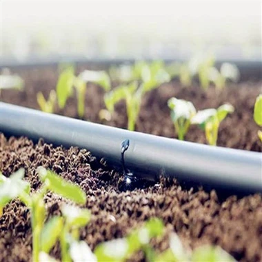 Système d'irrigation agricole avec ruban goutte à goutte de 16 mm