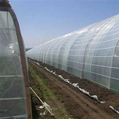 Film plastique pour serre résistant aux UV de 200 microns - Revêtement agricole durable